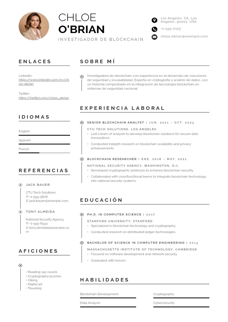 two column investigador-de-blockchain resume example