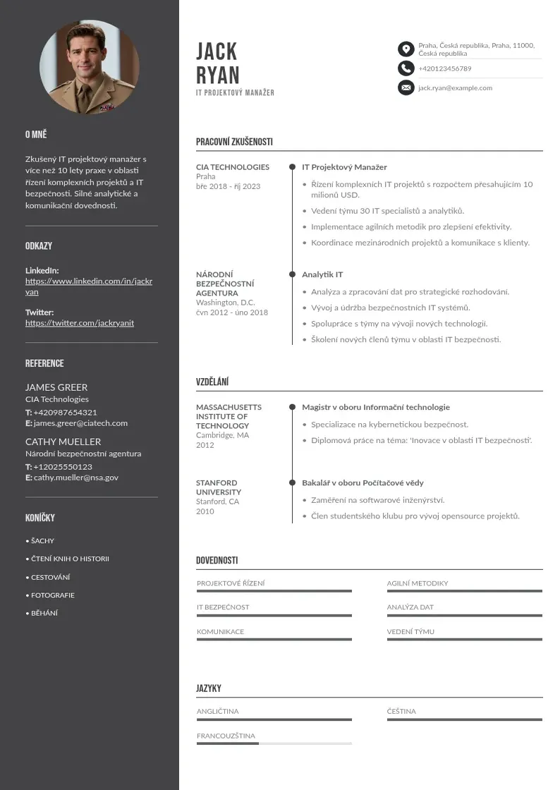 Divu kolonnu Zivotopis it projektoveho manazera CV piemērs