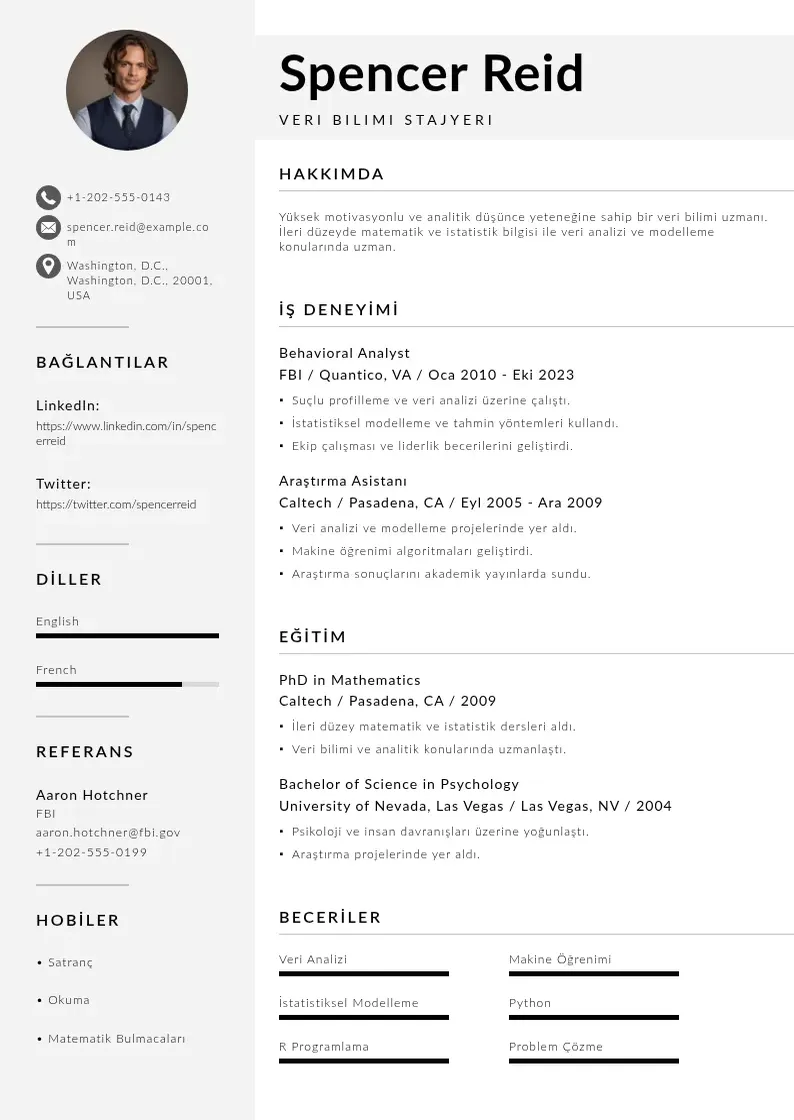 Mūsdienīga Veri Bilimi Stajyeri  CV veidne