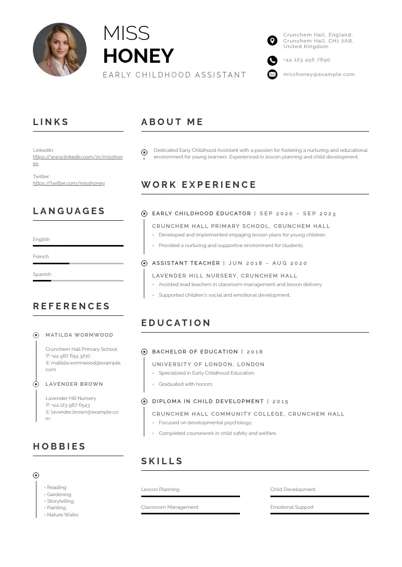 professional Early childhood assistant resume resume template