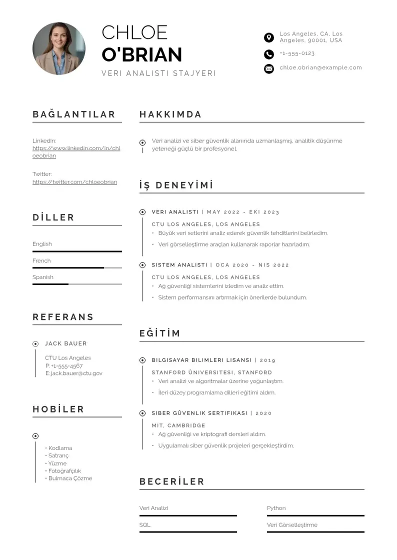 Profesionāla Veri Analisti Stajyeri  CV veidne
