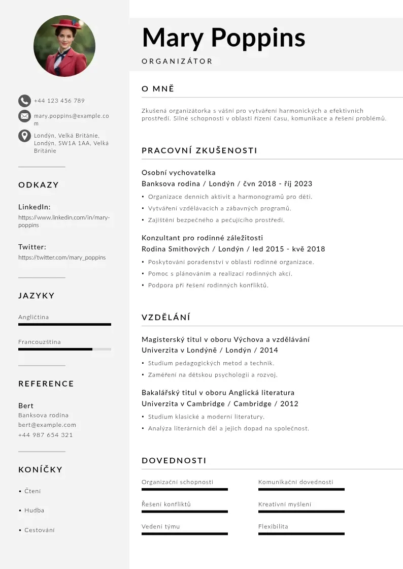 Mūsdienīga Organizator zivotopis CV veidne
