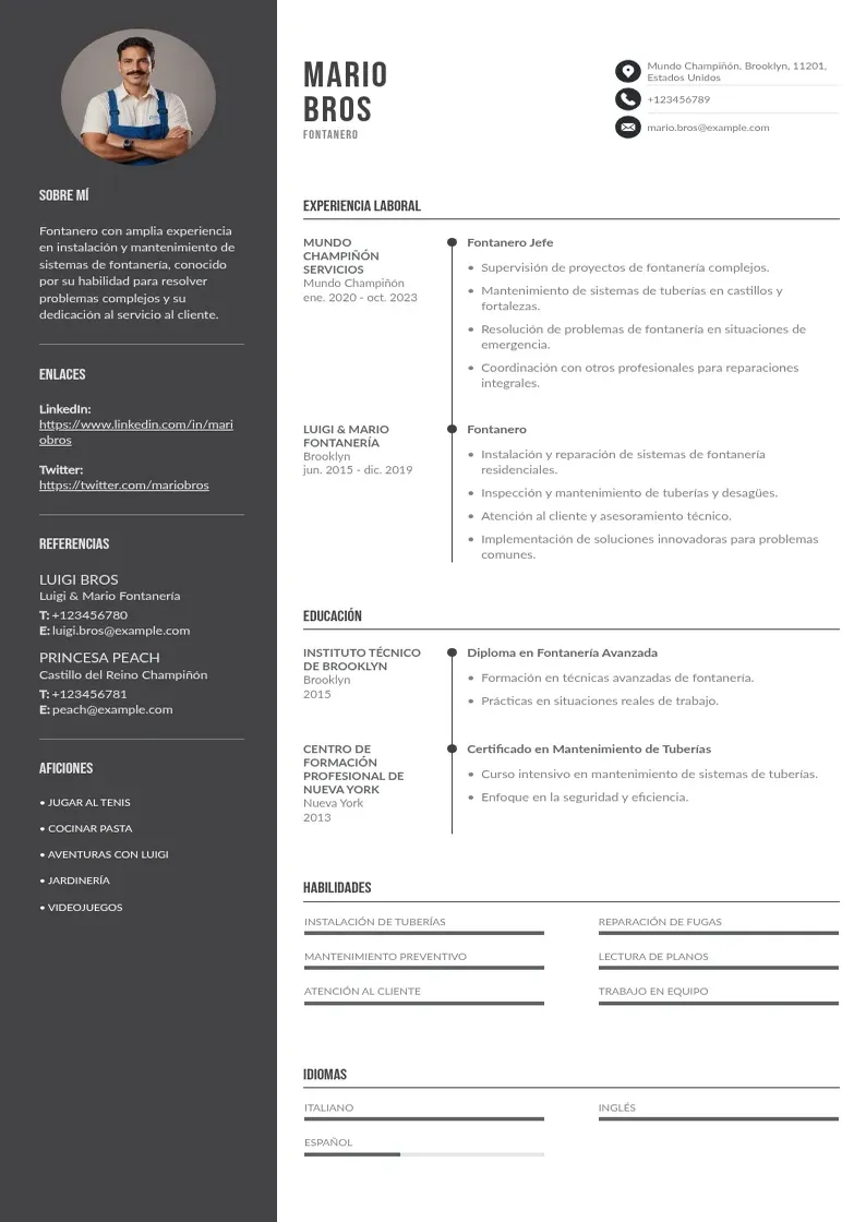 two column curriculum-de-fontanero resume example