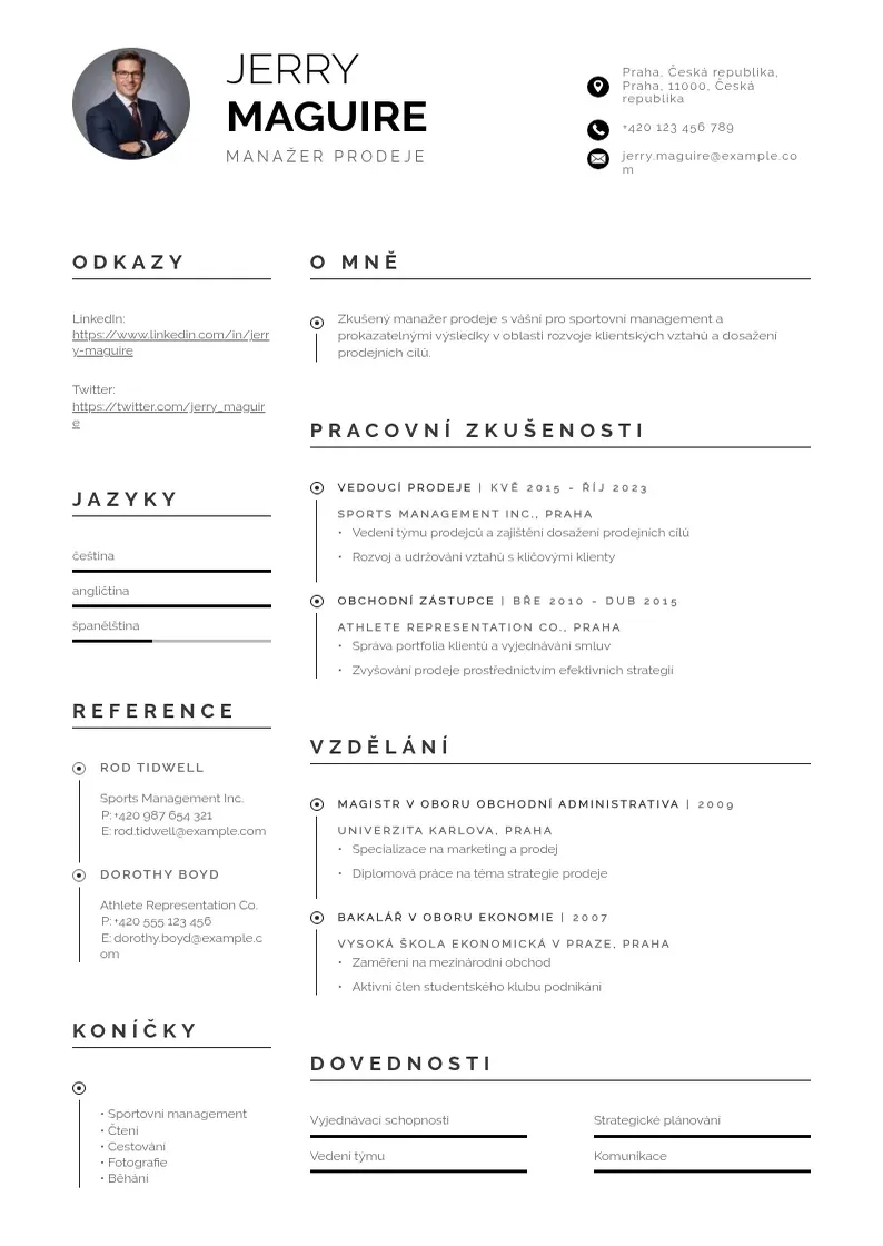 Profesionāla Manazer prodeje zivotopis CV veidne