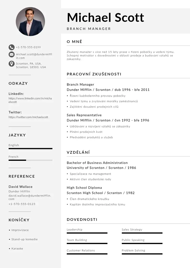 Mūsdienīga Cv ve francouzstine vzor CV veidne