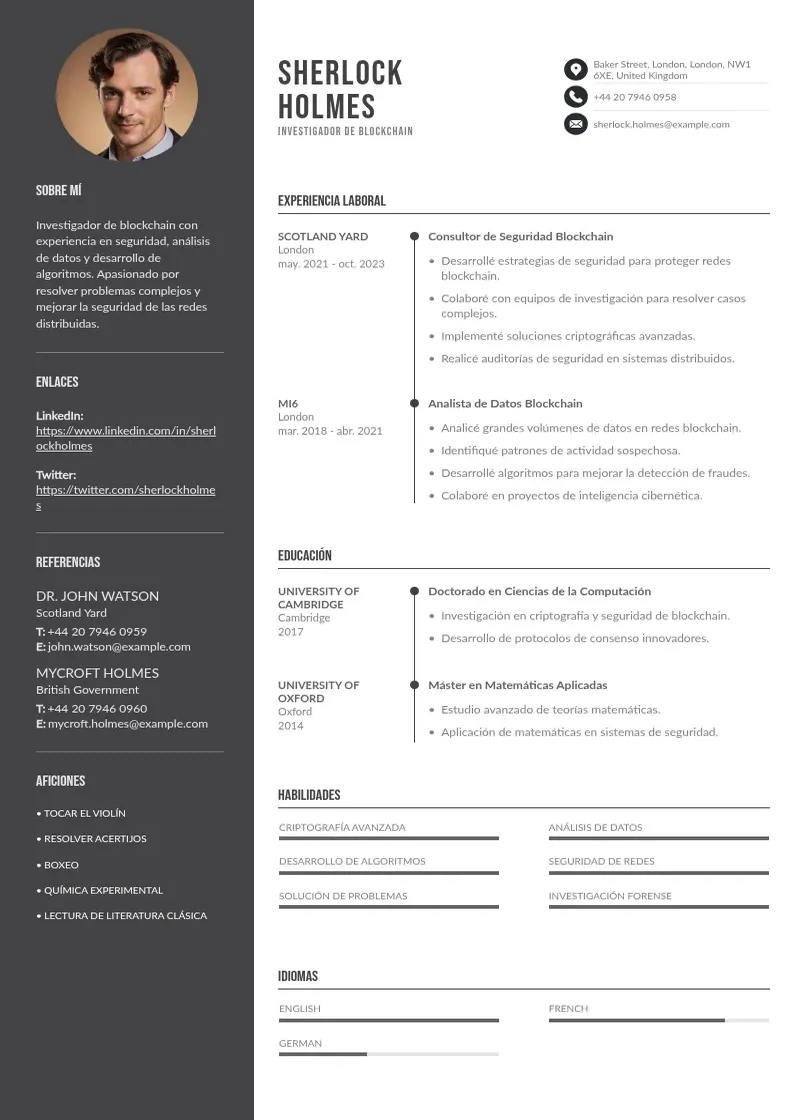 two column investigador-de-blockchain resume example