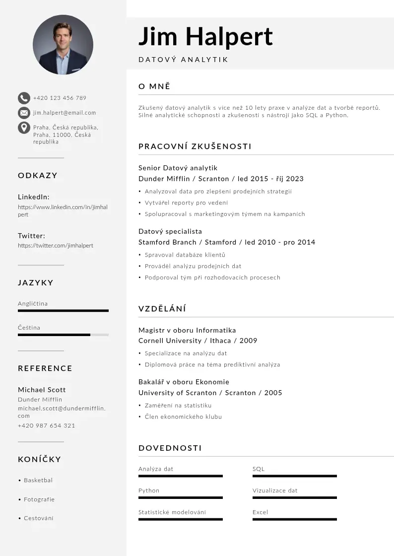 Mūsdienīga Zivotopis datoveho analytika CV veidne