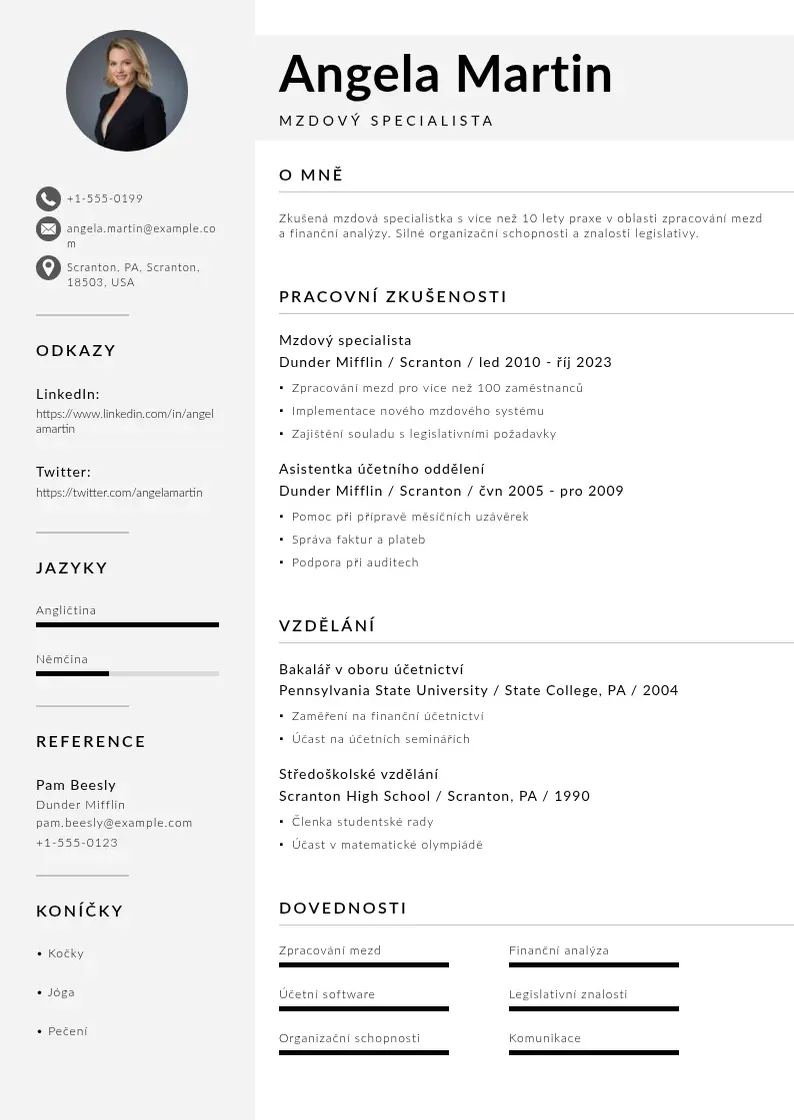 Mūsdienīga Mzdoveho specialisty zivotopis CV veidne
