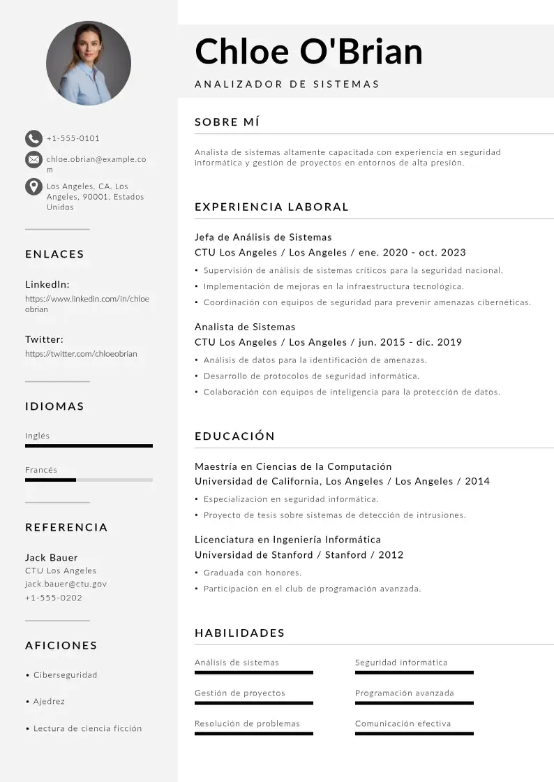 two column analizador-de-sistemas resume example