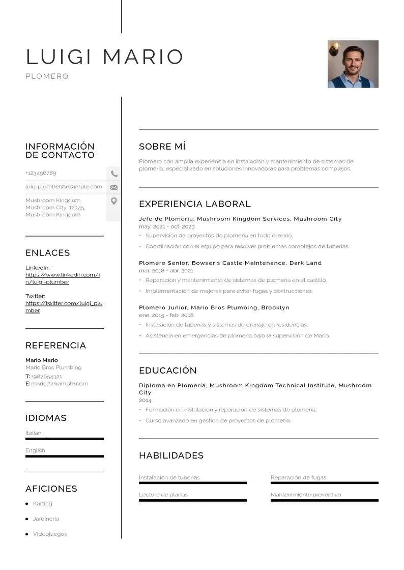 two column cv-plomero resume example