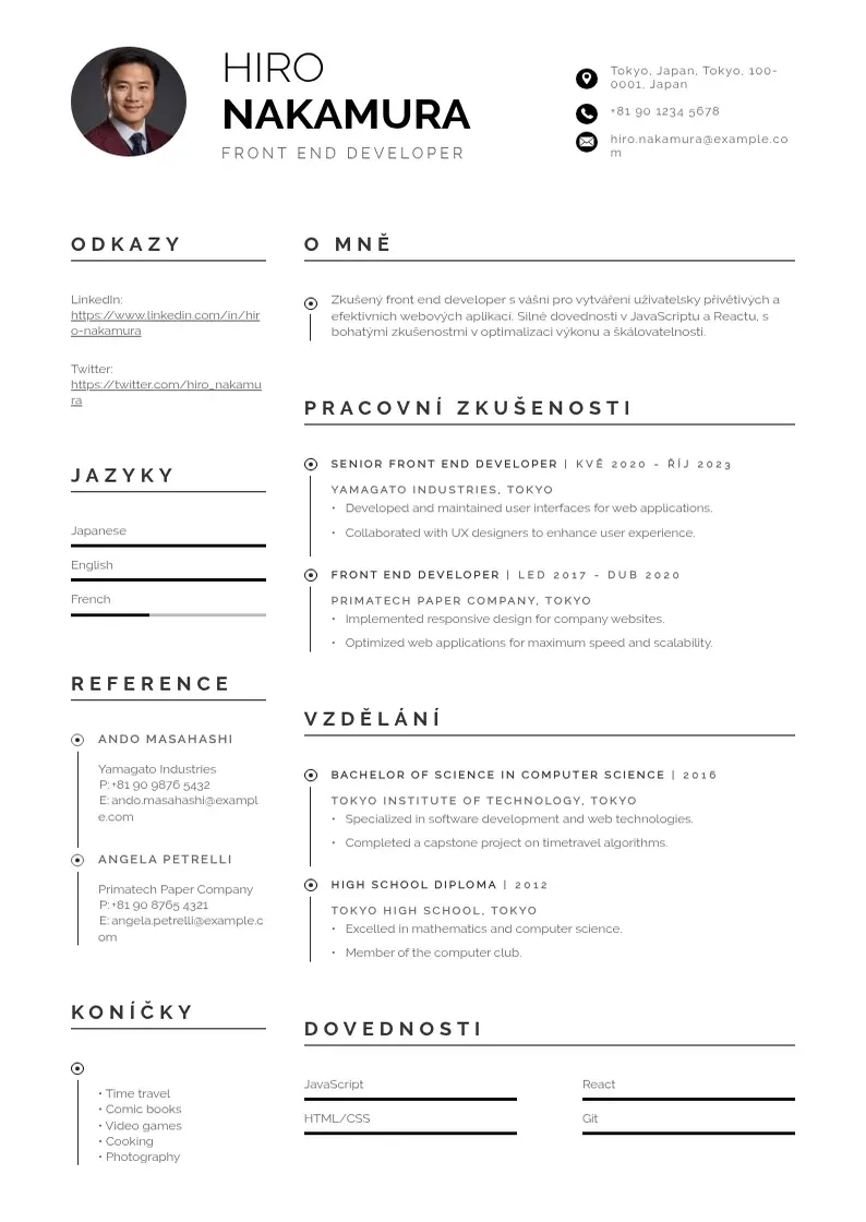 Profesionāla Zivotopis front end developer CV veidne