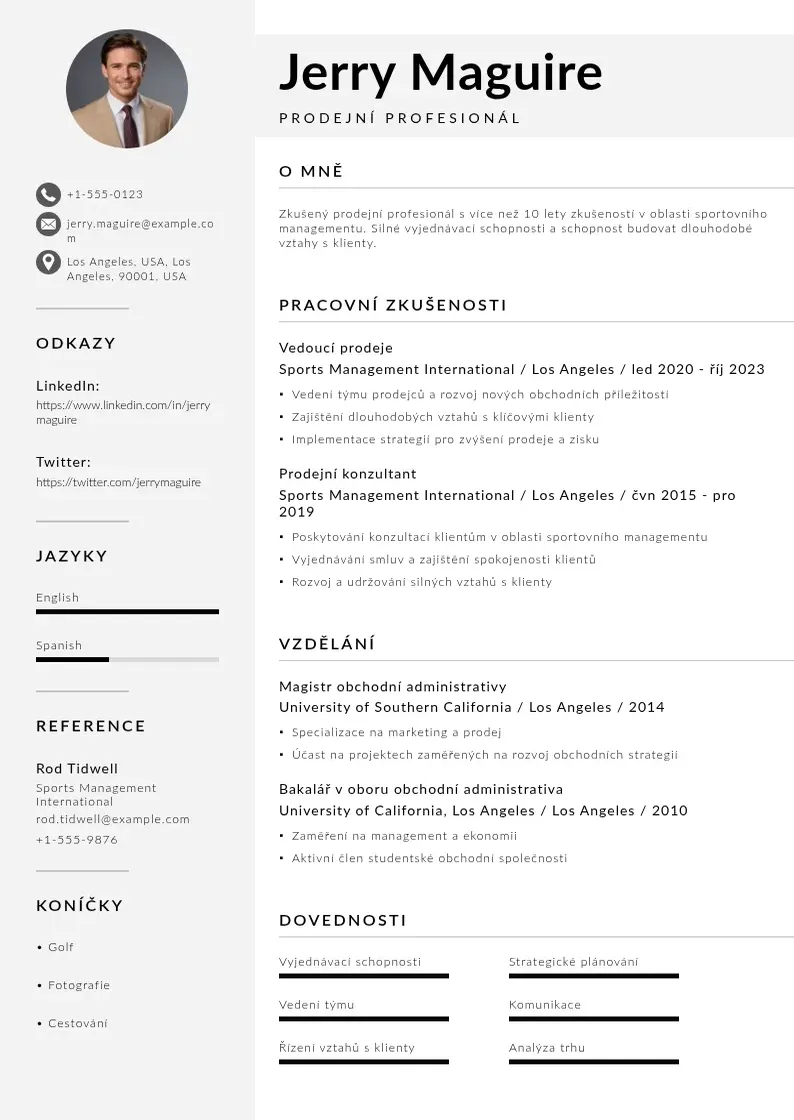 Mūsdienīga Prodejni profesional zivotopis CV veidne