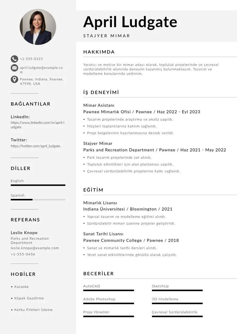 Mūsdienīga Stajyer Mimar  CV veidne