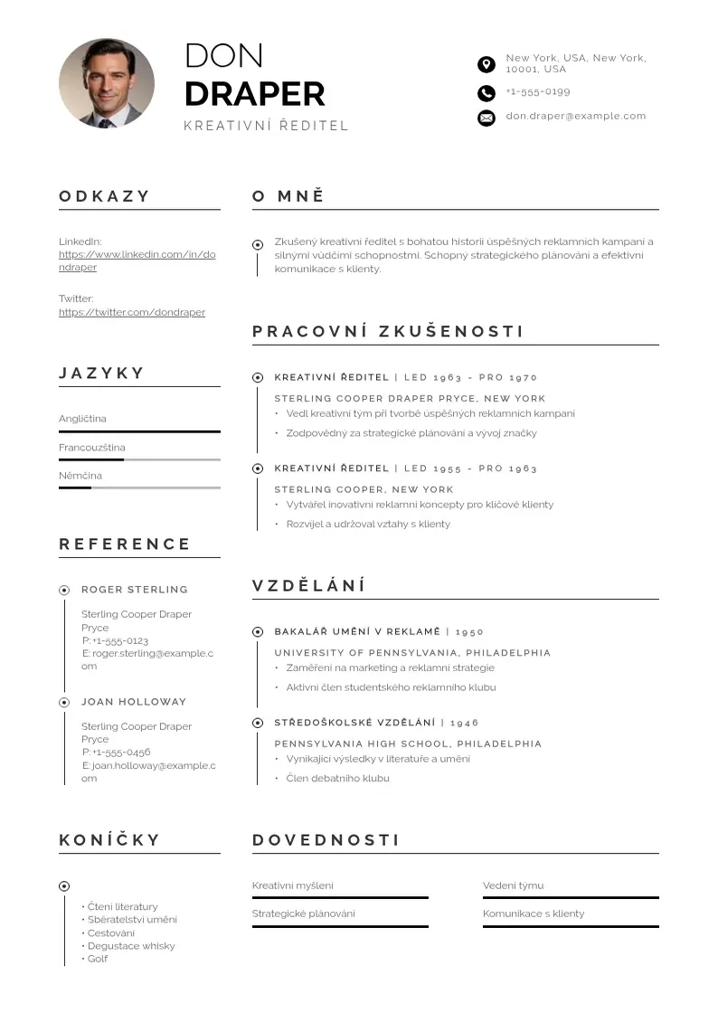 Profesionāla Zivotopis v anglictine CV veidne