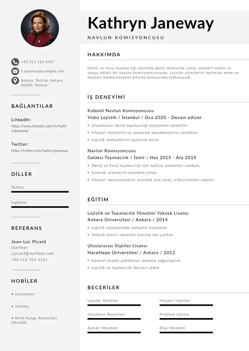 Mūsdienīga navlun komisyoncusu  CV veidne