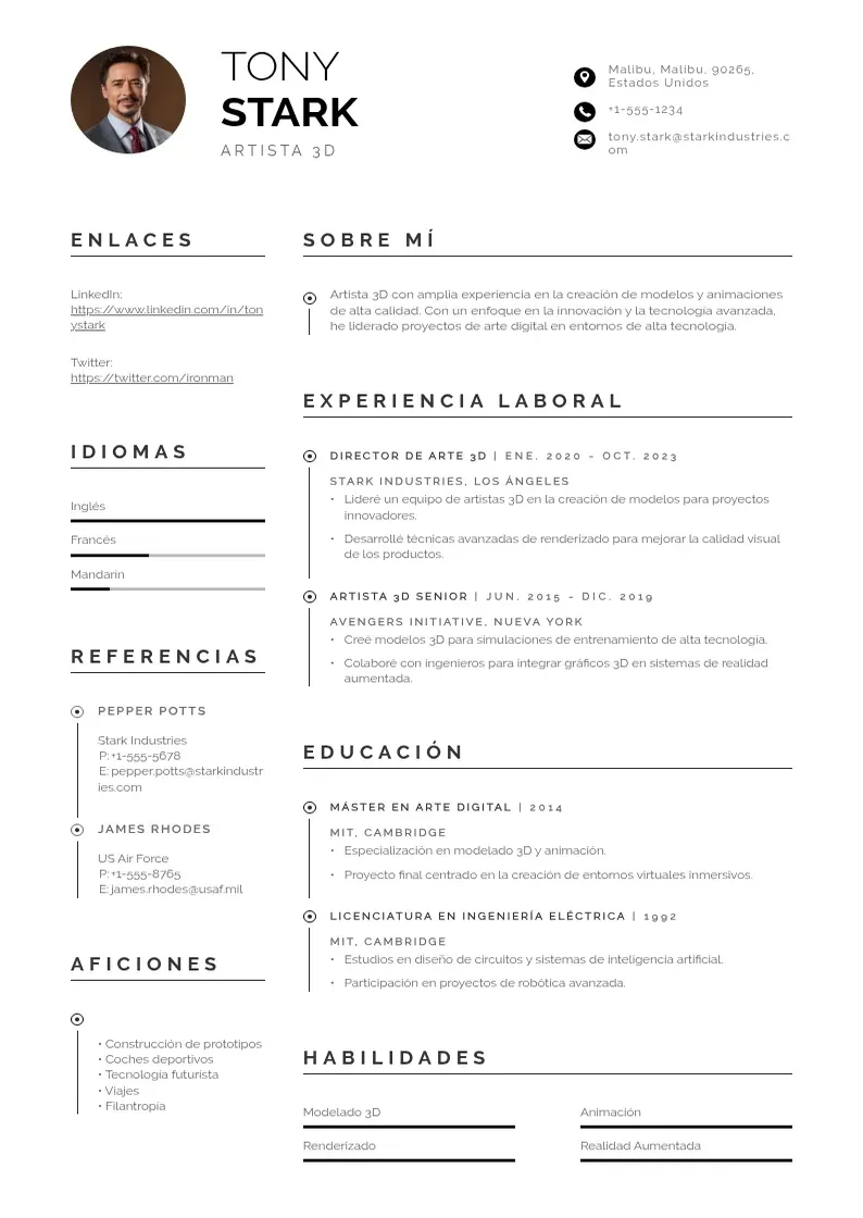 two column artista-3d resume example