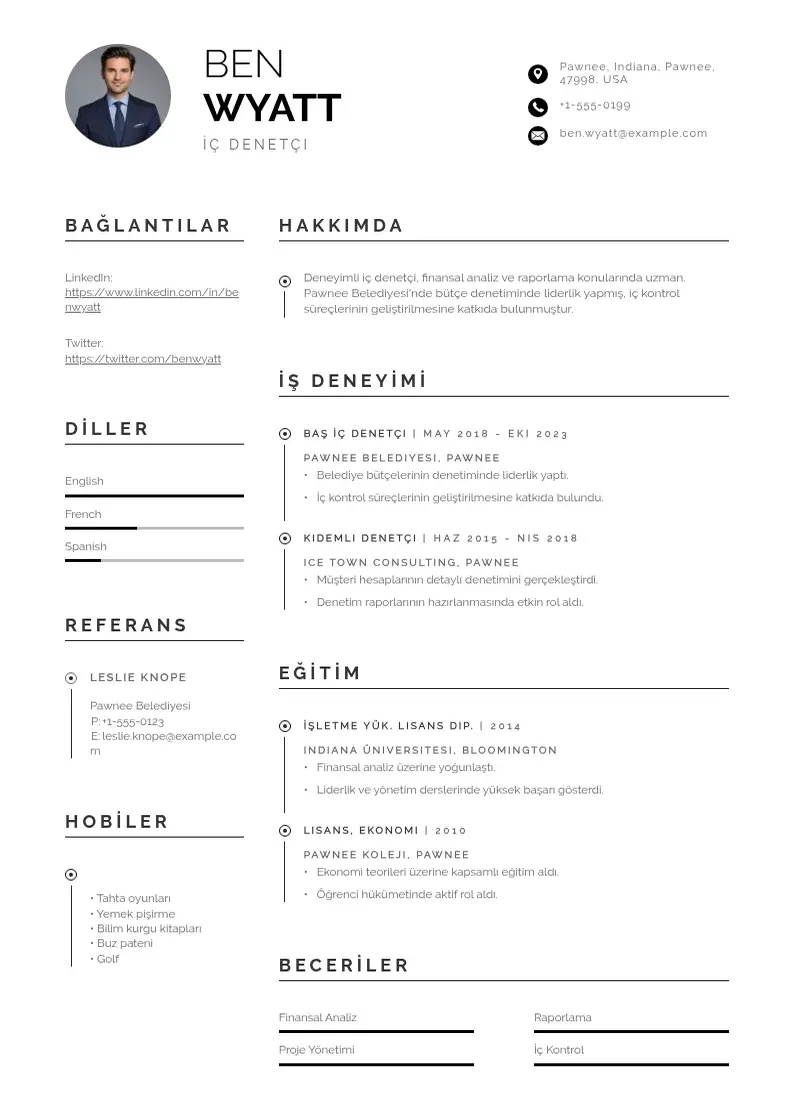 Profesionāla İç denetçi  CV veidne
