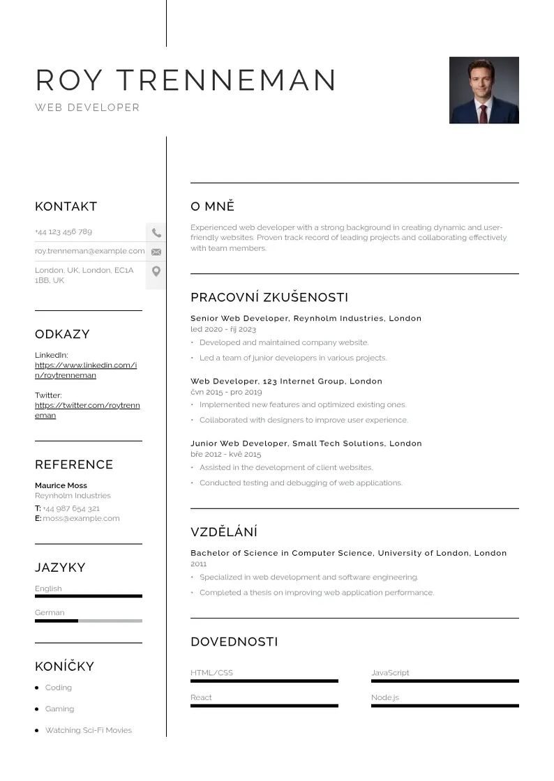 Vienkārša Zivotopis web developera CV piemērs