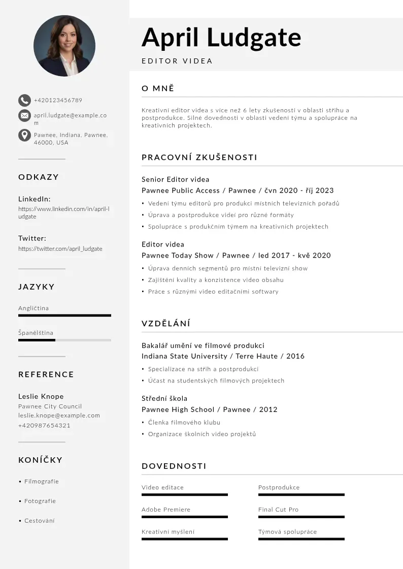 Mūsdienīga Zivotopis editor videa CV veidne