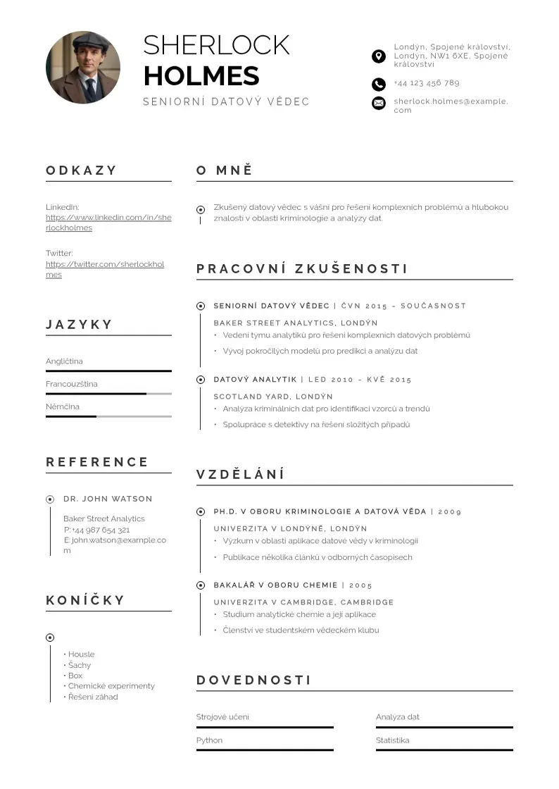 Profesionāla Senior data scientist CV veidne