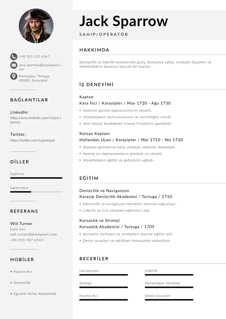 Mūsdienīga Sahip/Operatör  CV veidne