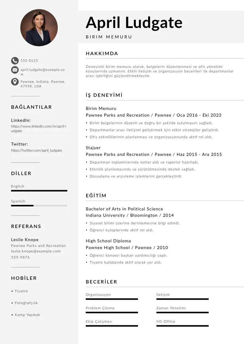Mūsdienīga Birim Memuru  CV veidne