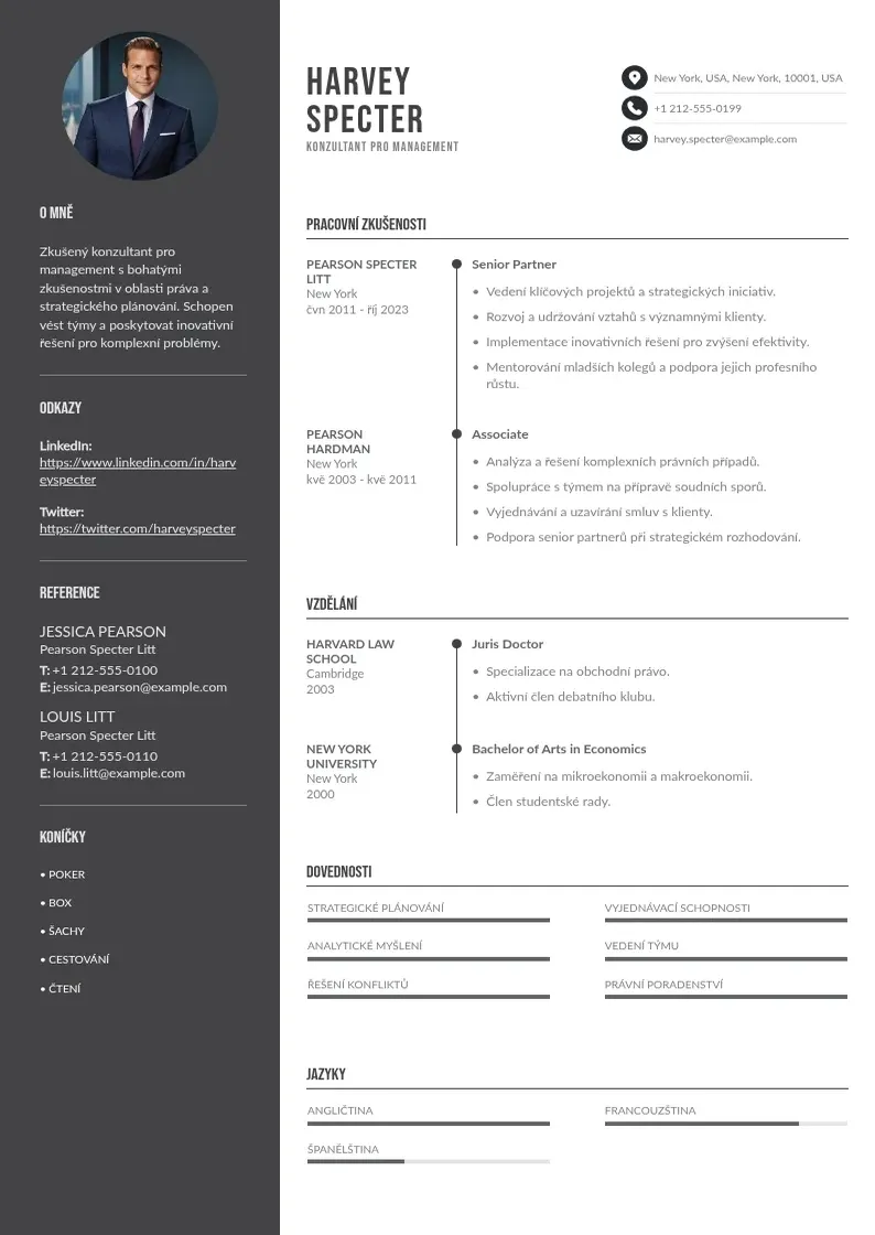 Divu kolonnu Konzultanta pro management zivotopis CV piemērs