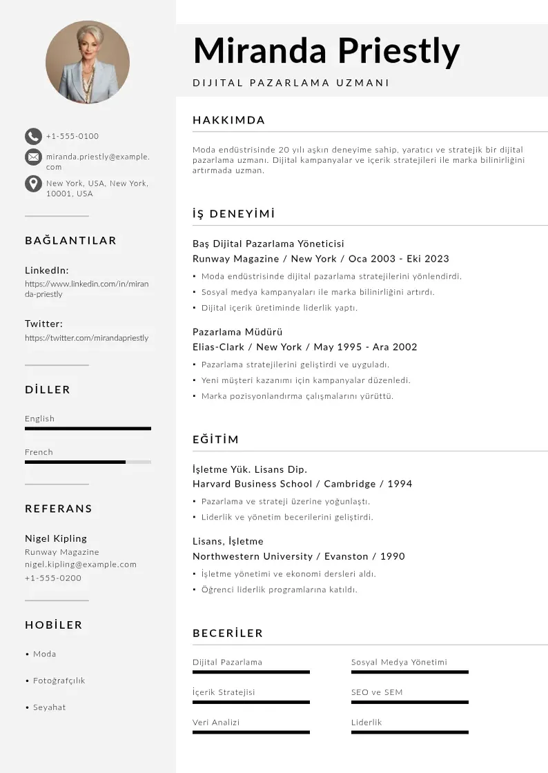 Mūsdienīga Dijital Pazarlama Uzmanı  CV veidne