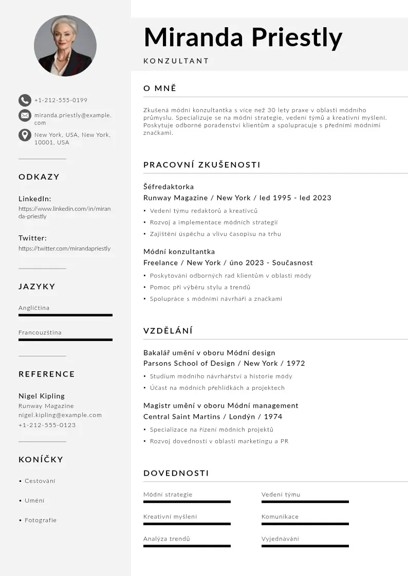 Mūsdienīga Konzultant zivotopis CV veidne