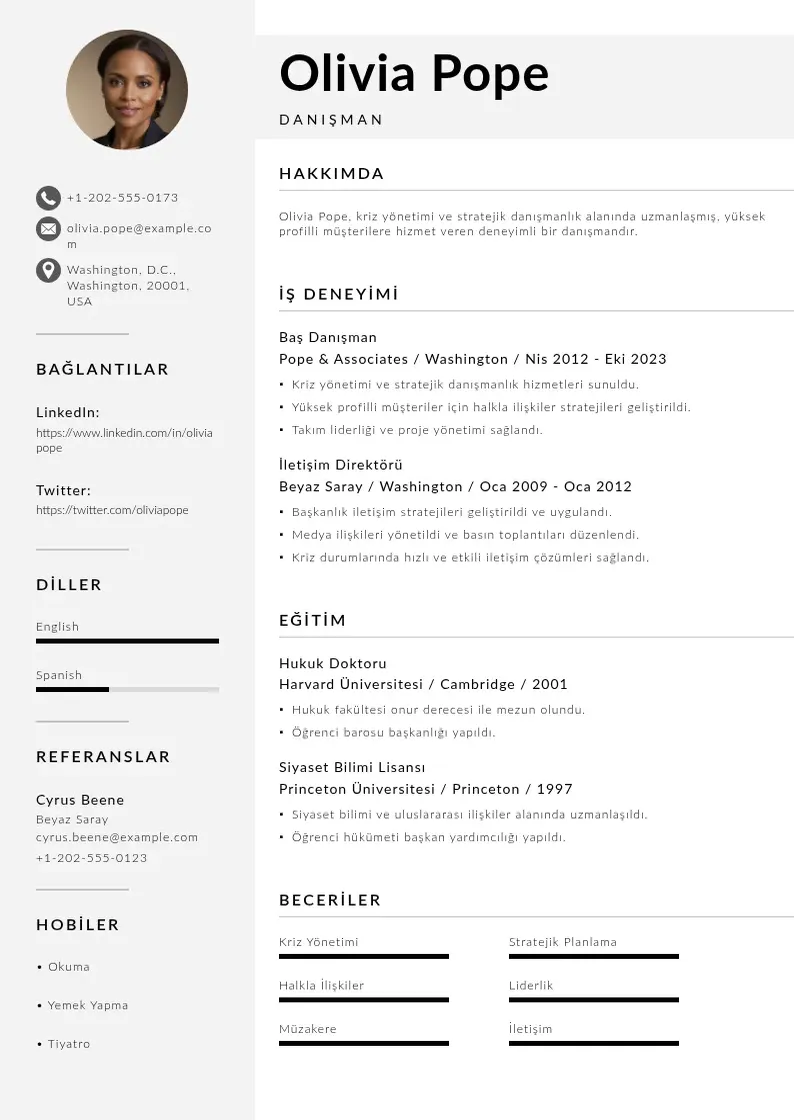 Mūsdienīga Danisman ozgecmis CV veidne