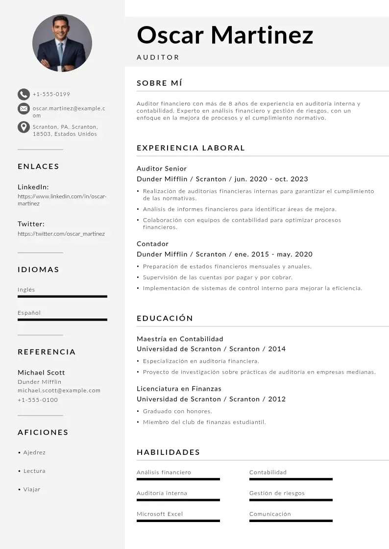 two column cv-auditor resume example