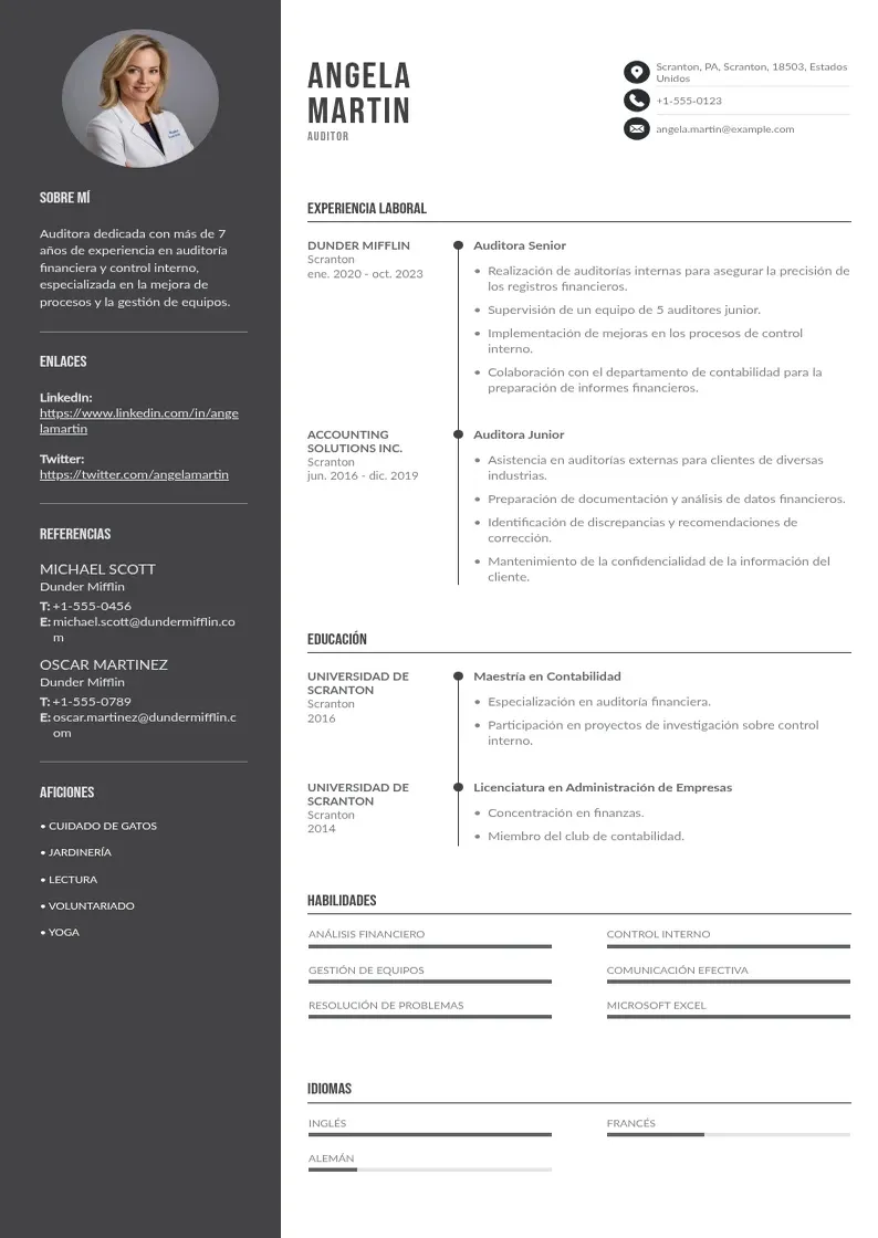 two column cv-auditor resume example