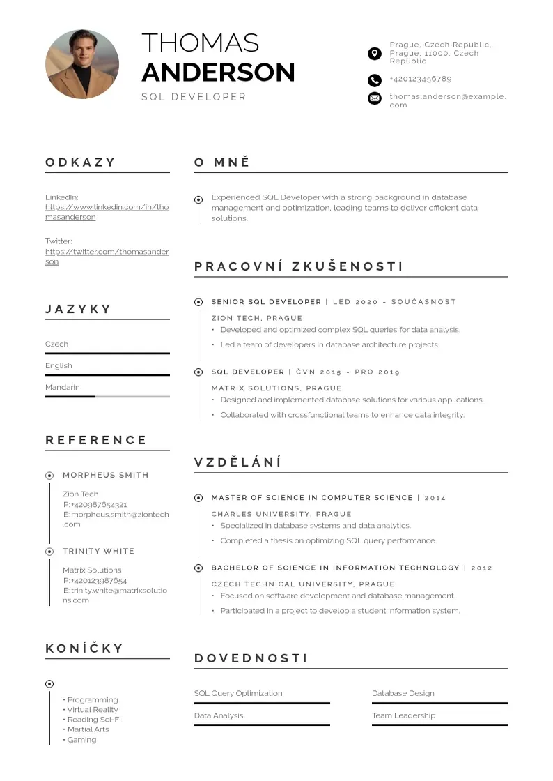 Profesionāla Vyvojar sql zivotopis CV veidne