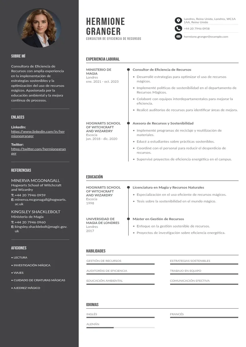two column consultor-de-eficiencia-de-recursos resume example