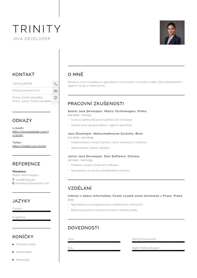 Vienkārša Vyvojar java zivotopis CV piemērs