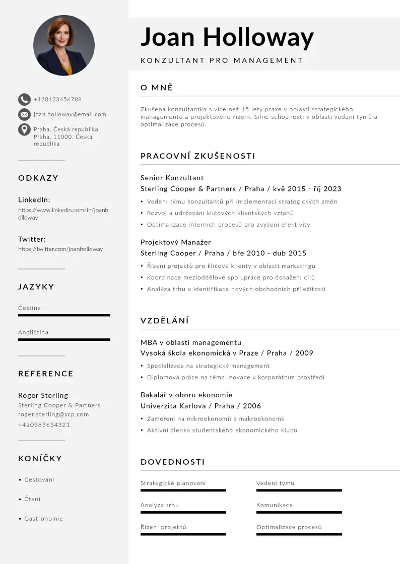 Mūsdienīga Konzultanta pro management zivotopis CV veidne