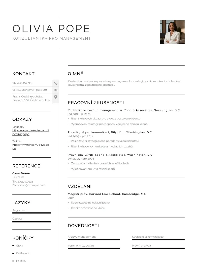 Vienkārša Konzultanta pro management zivotopis CV piemērs