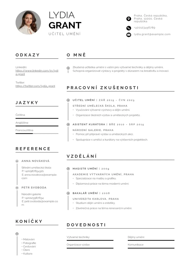 Profesionāla Ucitel umeni zivotopis CV veidne