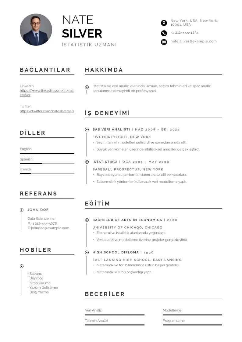 Profesionāla Istatistik uzmani oz gecmisi CV veidne