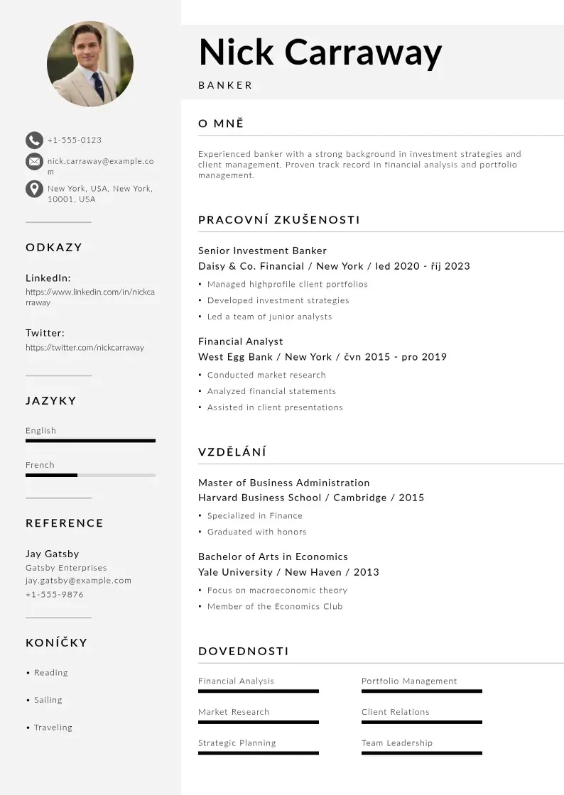 Mūsdienīga Zivotopis banker CV veidne
