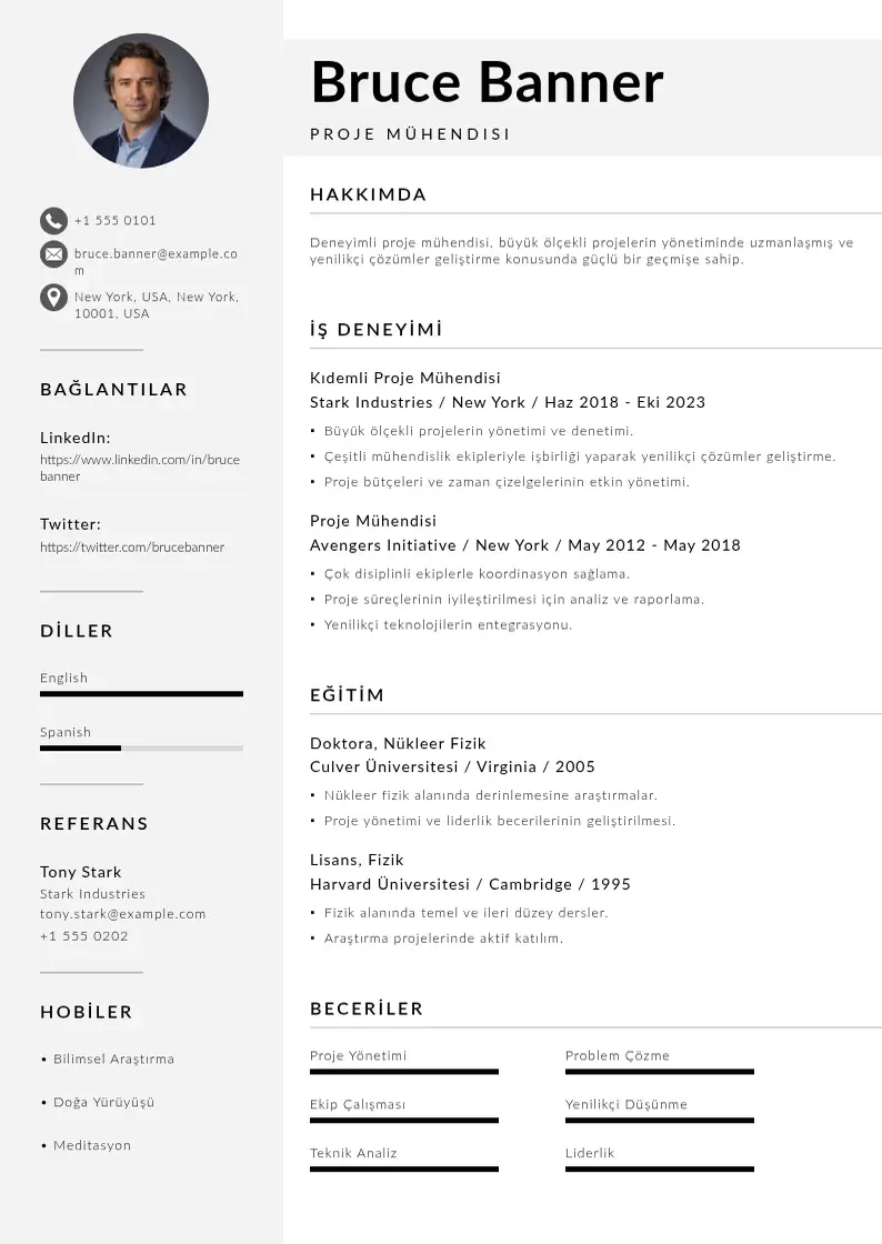 Mūsdienīga proje Mühendisi  CV veidne