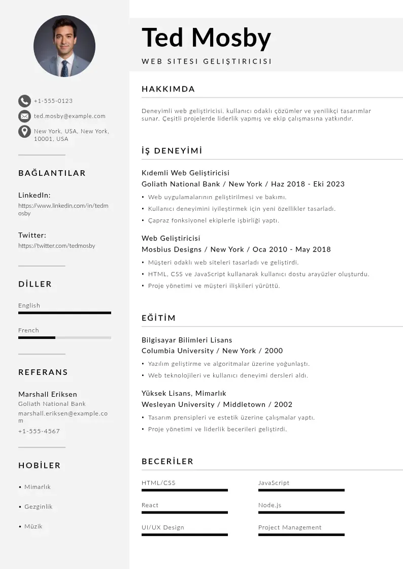 Mūsdienīga Web sitesi geliştiricisi  CV veidne