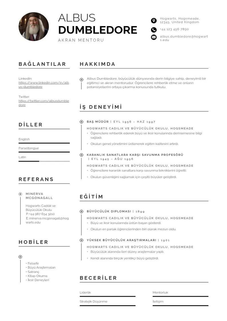 Profesionāla Akran Mentoru  CV veidne