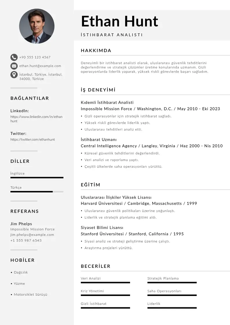 Mūsdienīga İstihbarat Analisti  CV veidne