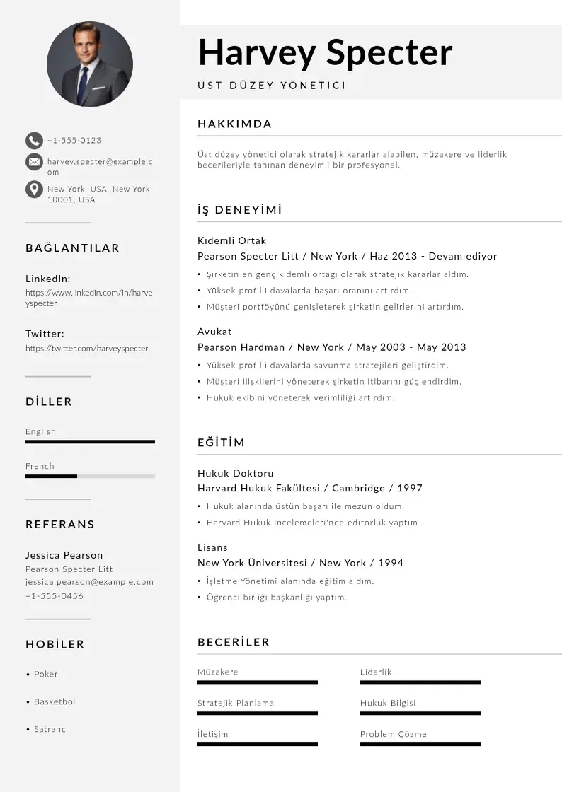 Mūsdienīga Üst düzey yönetici  CV veidne