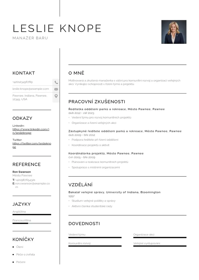 Vienkārša Manazer baru zivotopis CV piemērs