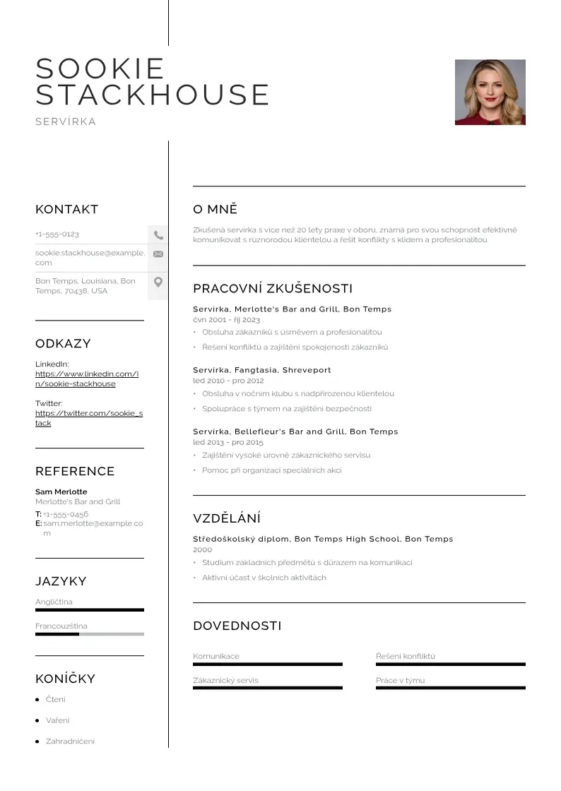 Vienkārša Servirka zivotopis CV piemērs