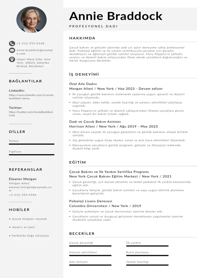 Mūsdienīga  CV veidne