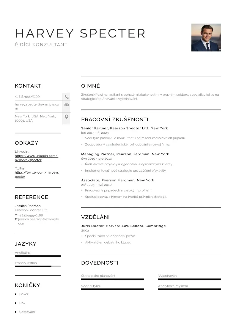 Vienkārša Ridici konzultant zivotopis CV piemērs