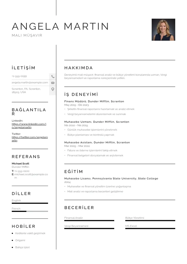 Vienkārša Mali Müşavir  CV piemērs